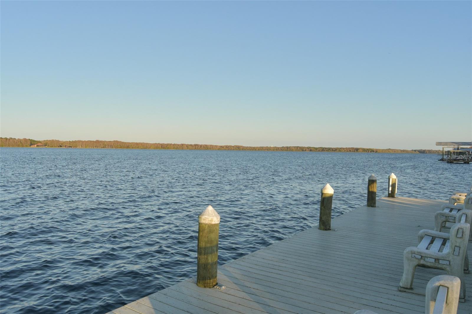 View of Lake Tarpon by Marina