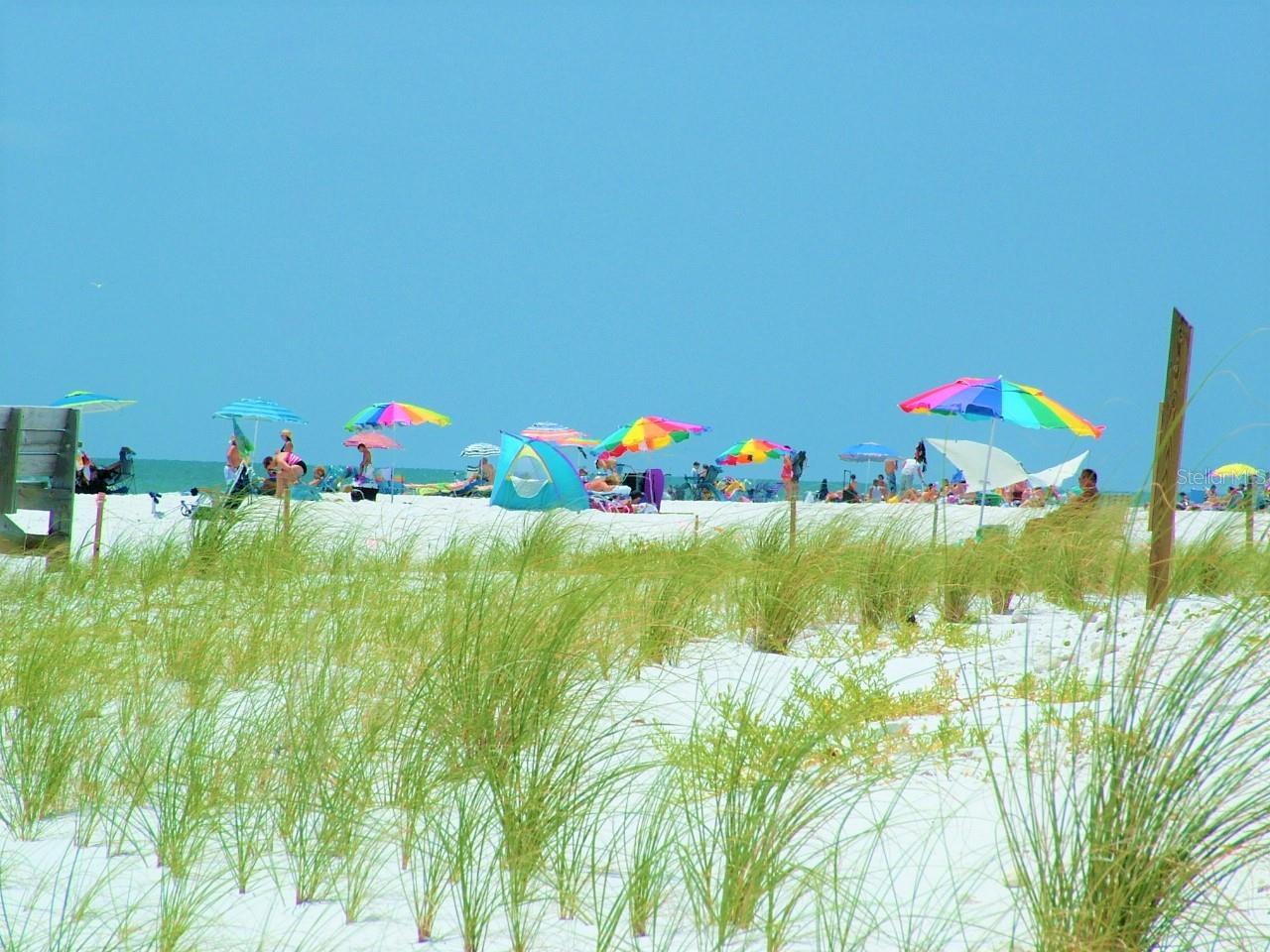 Beautiful Honeymoon Island