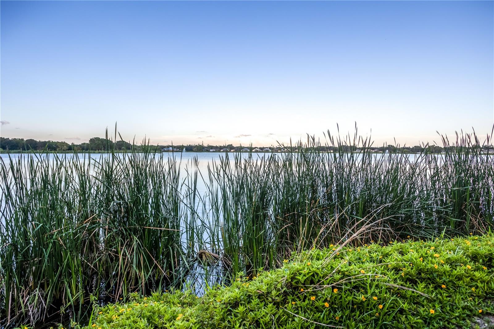 Along the walking path by your lake