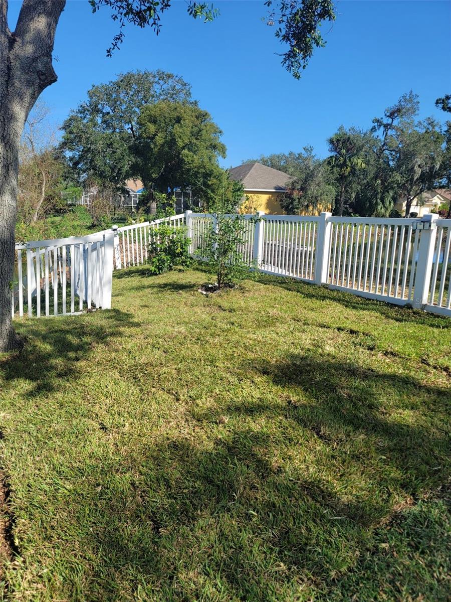 Fresh sod since the hurricane