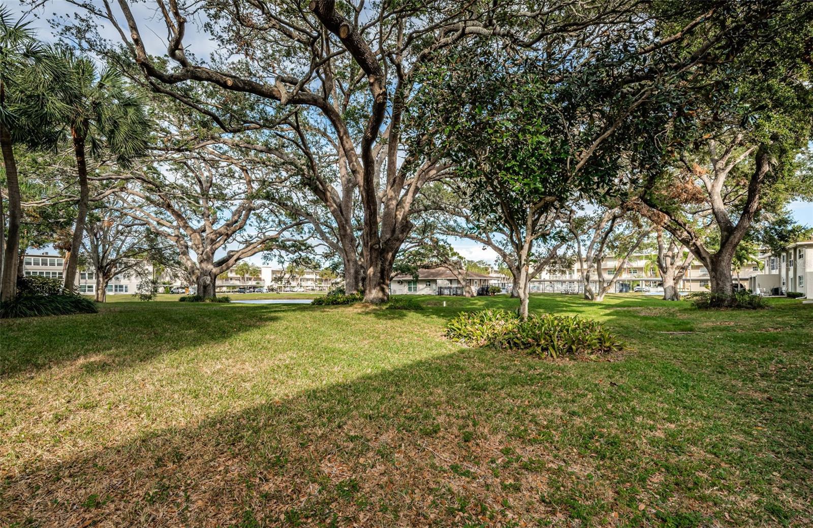 Nice Parklike setting near condo