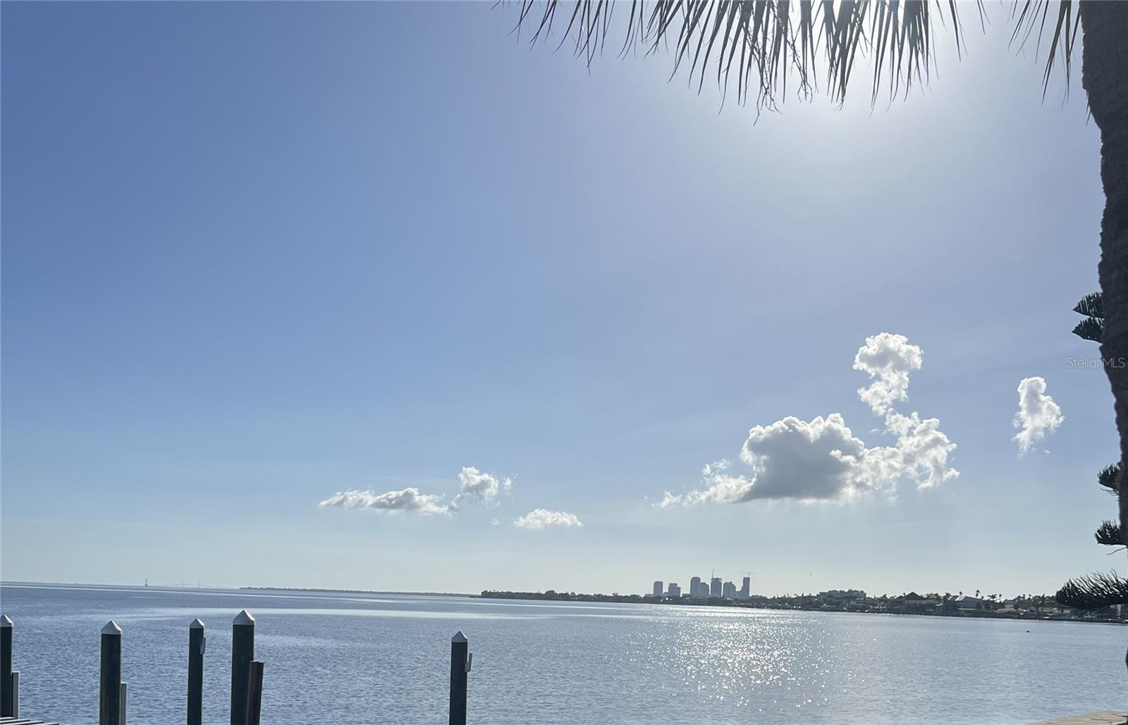 View of Downtown St Petersburg from the backyard