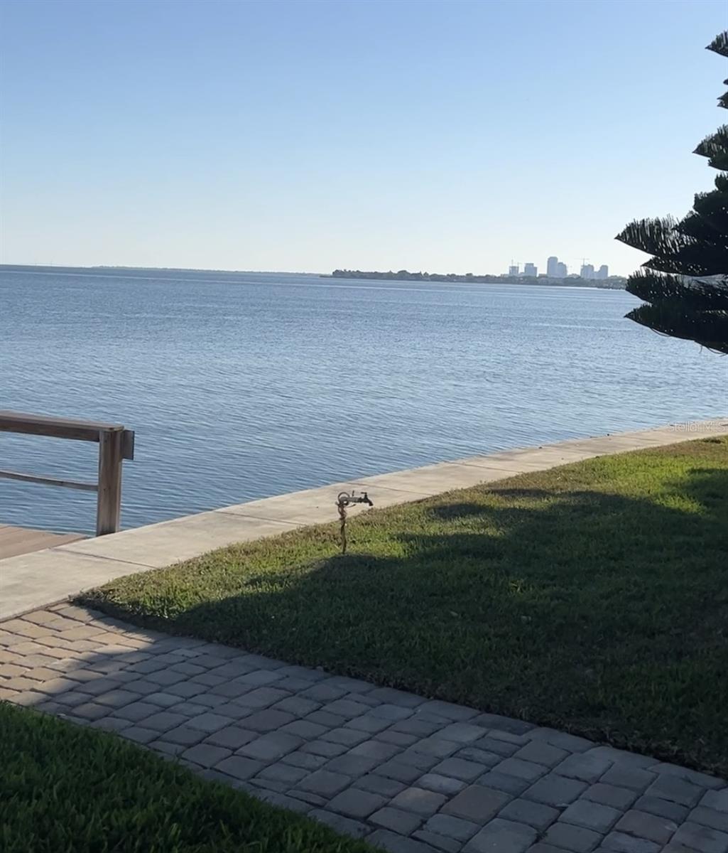 View of Downtown St Petersburg from the backyard