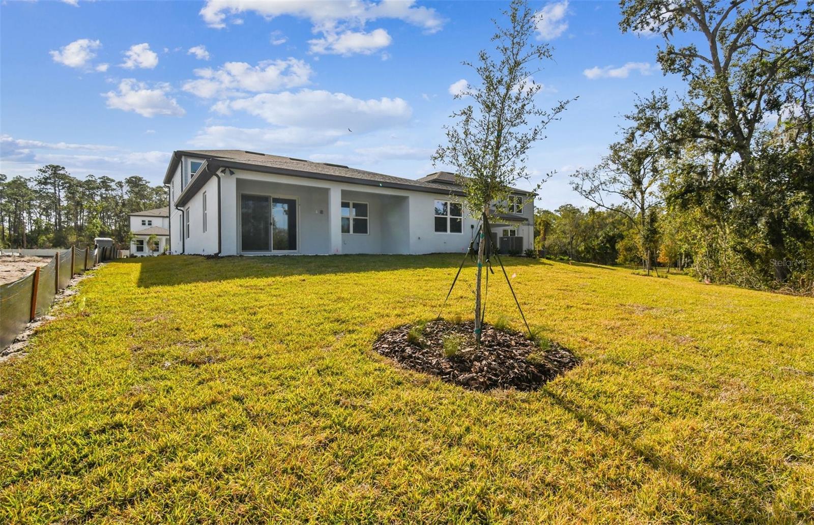 Spacious Backyard