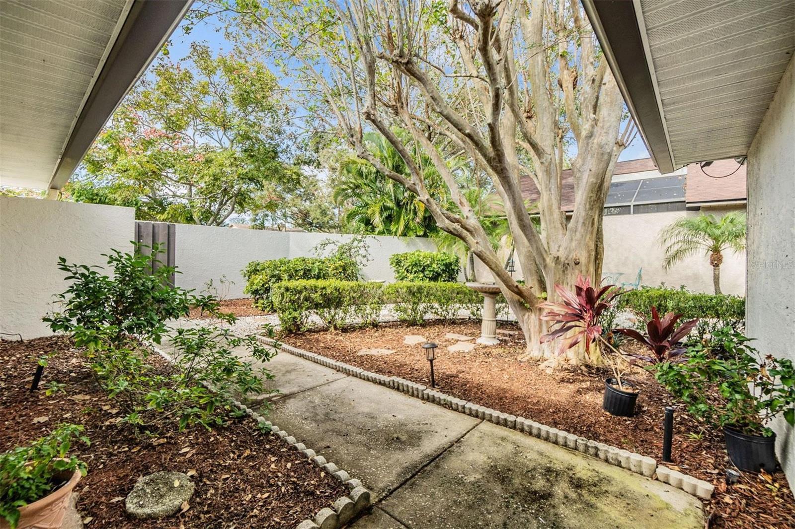 Private courtyard with low maintenance landscaping