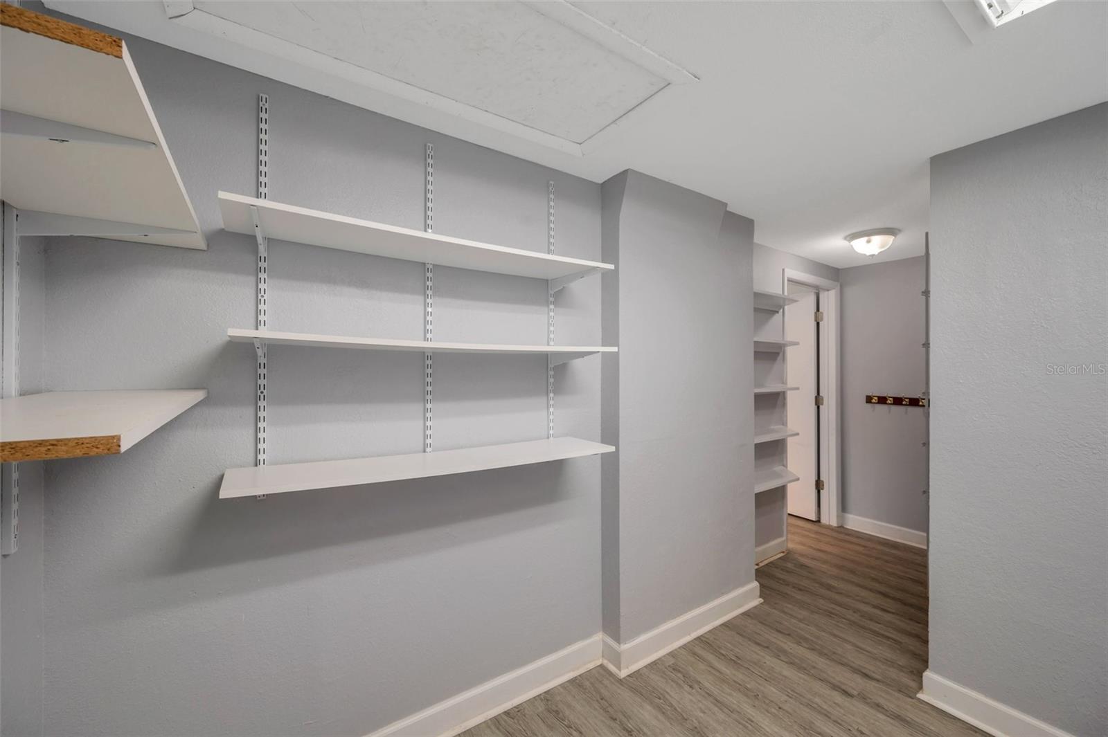 Another view of the gigantic walk-in pantry.