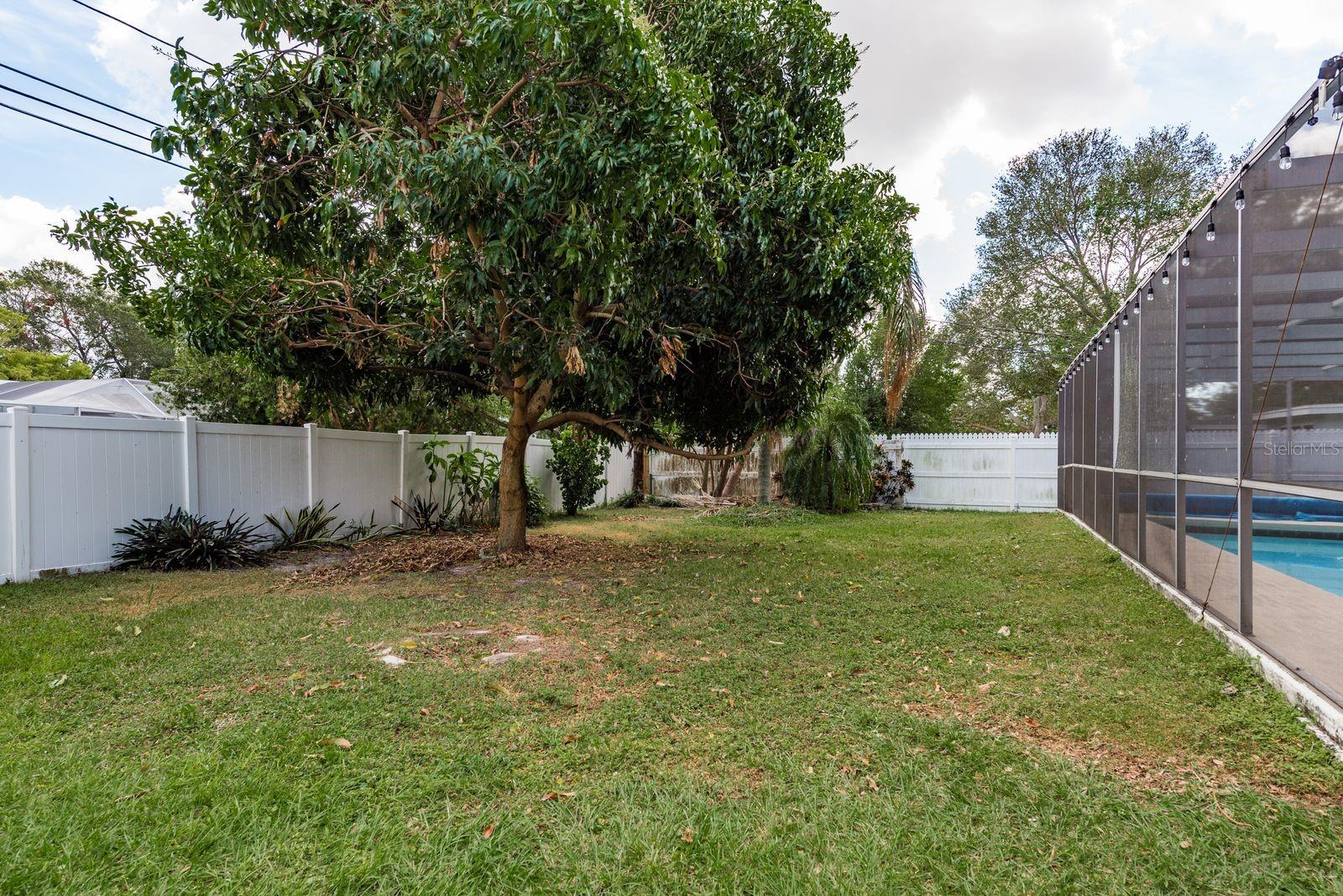 large fenced in yard