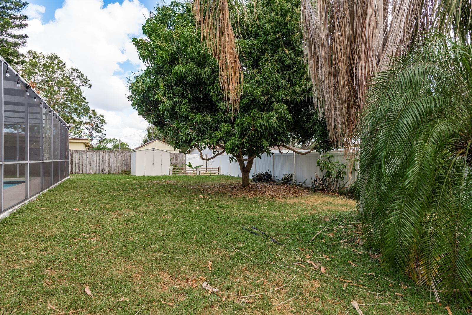 large fenced in yard