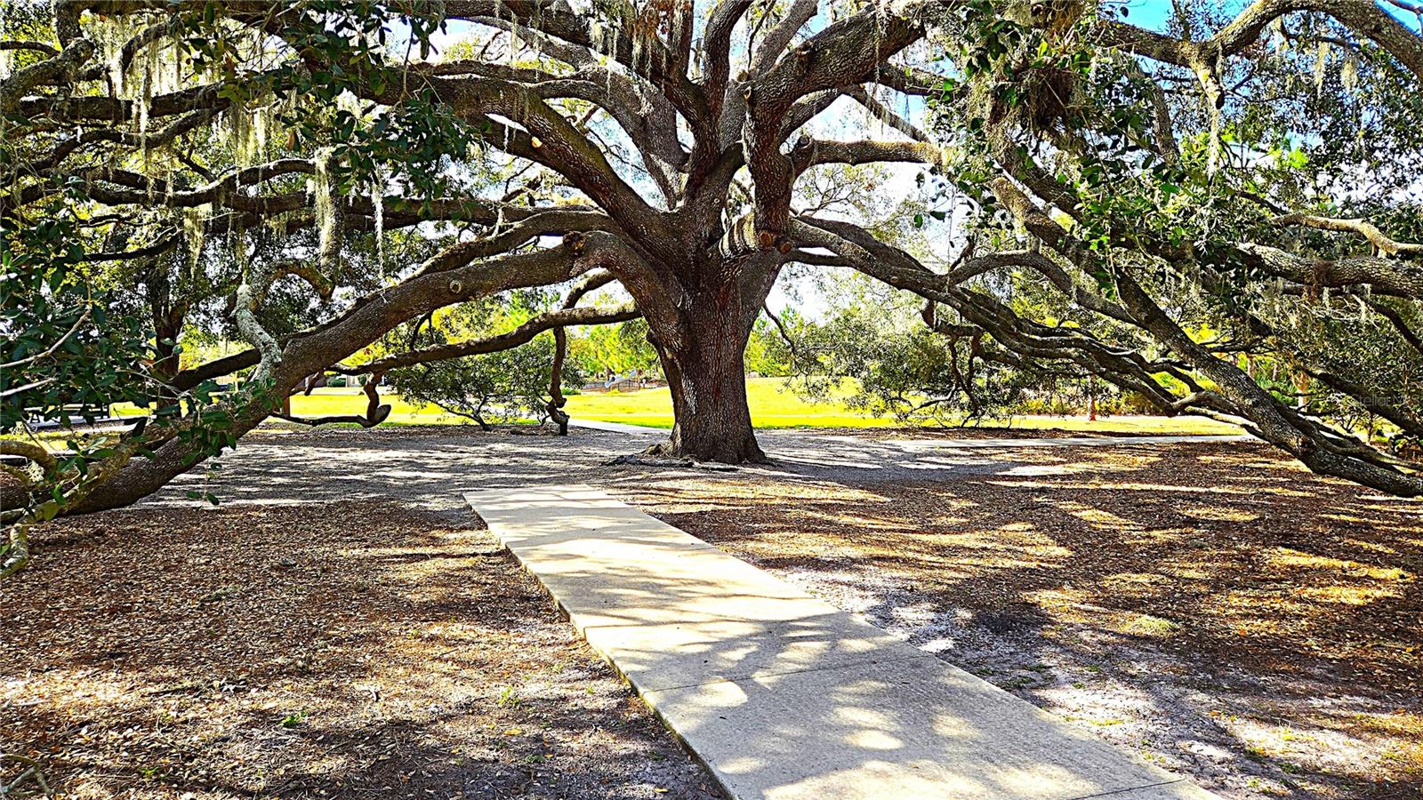 Side lot trail to park.