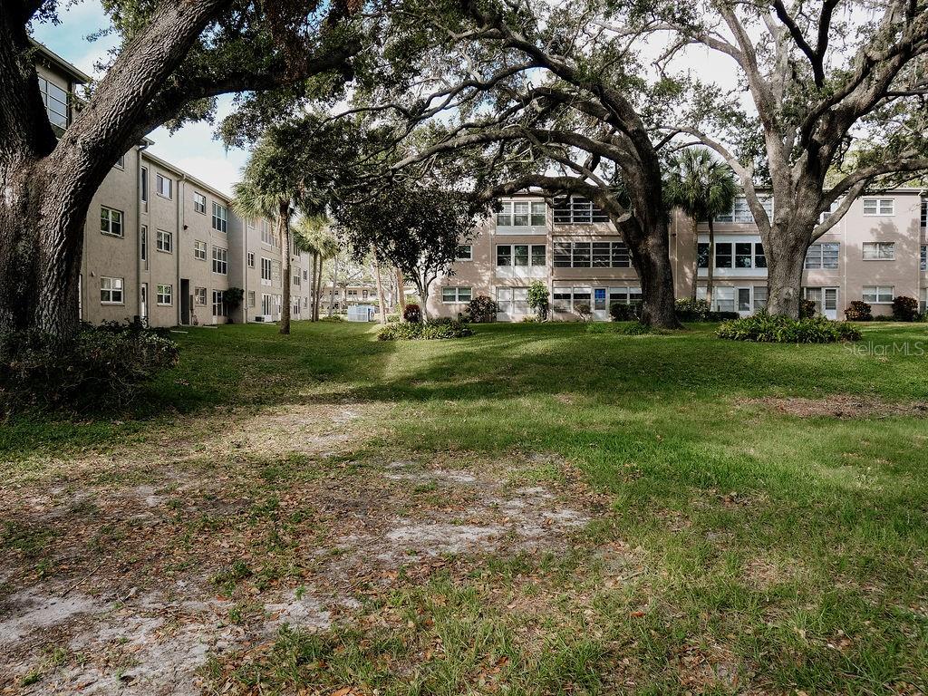 Park like area behind the building