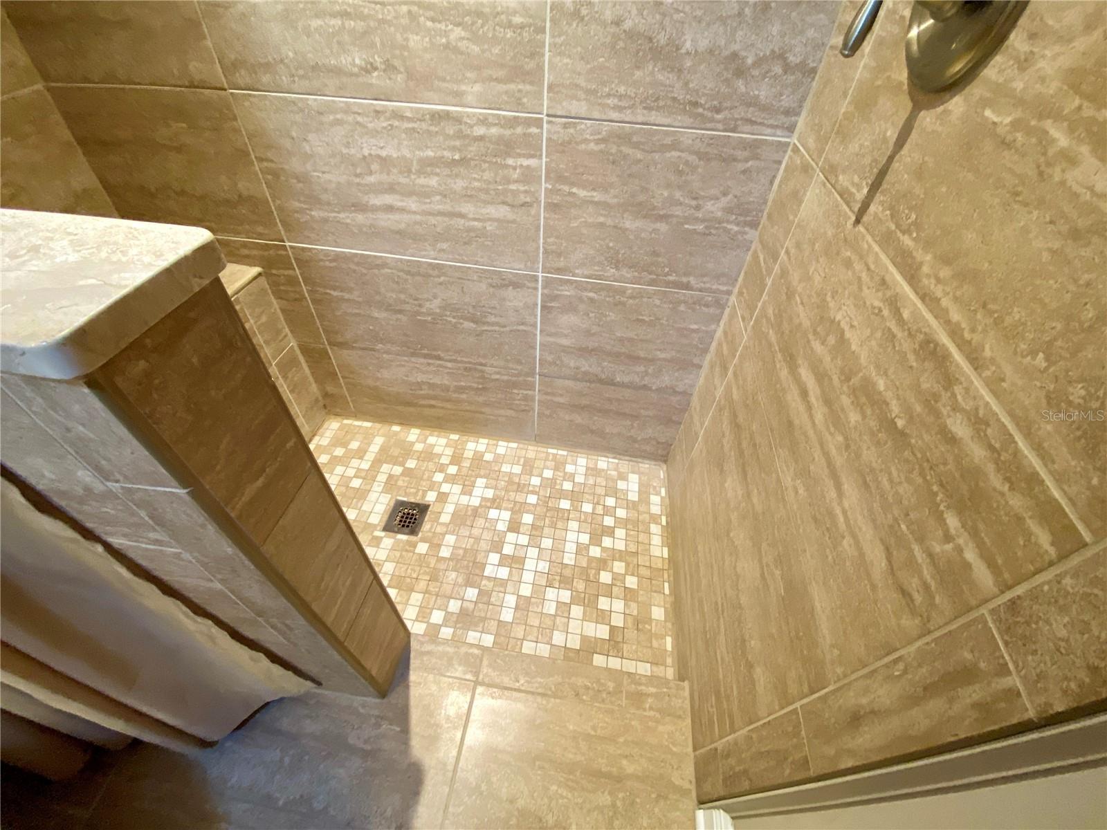 EASY ACCESS shower with just a slight step down shower