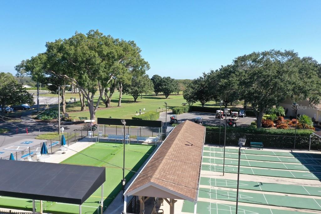 Bocce and Shuffleboard