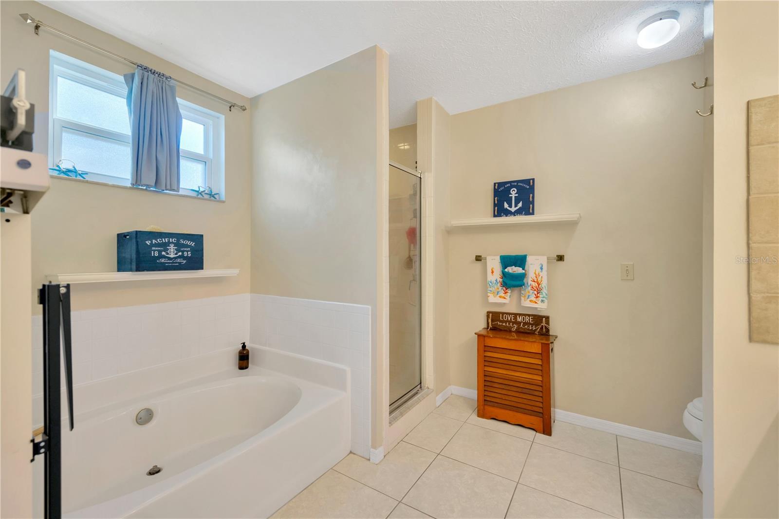 Primary Shower/Bathtub