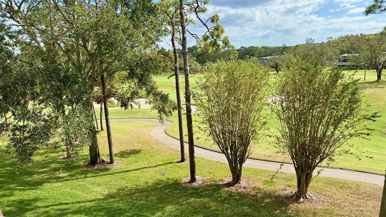 Balcony View of the Iconic Copperhead Course Hole 15