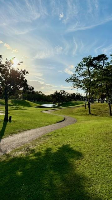 Innisbrook Resort and Golf Club