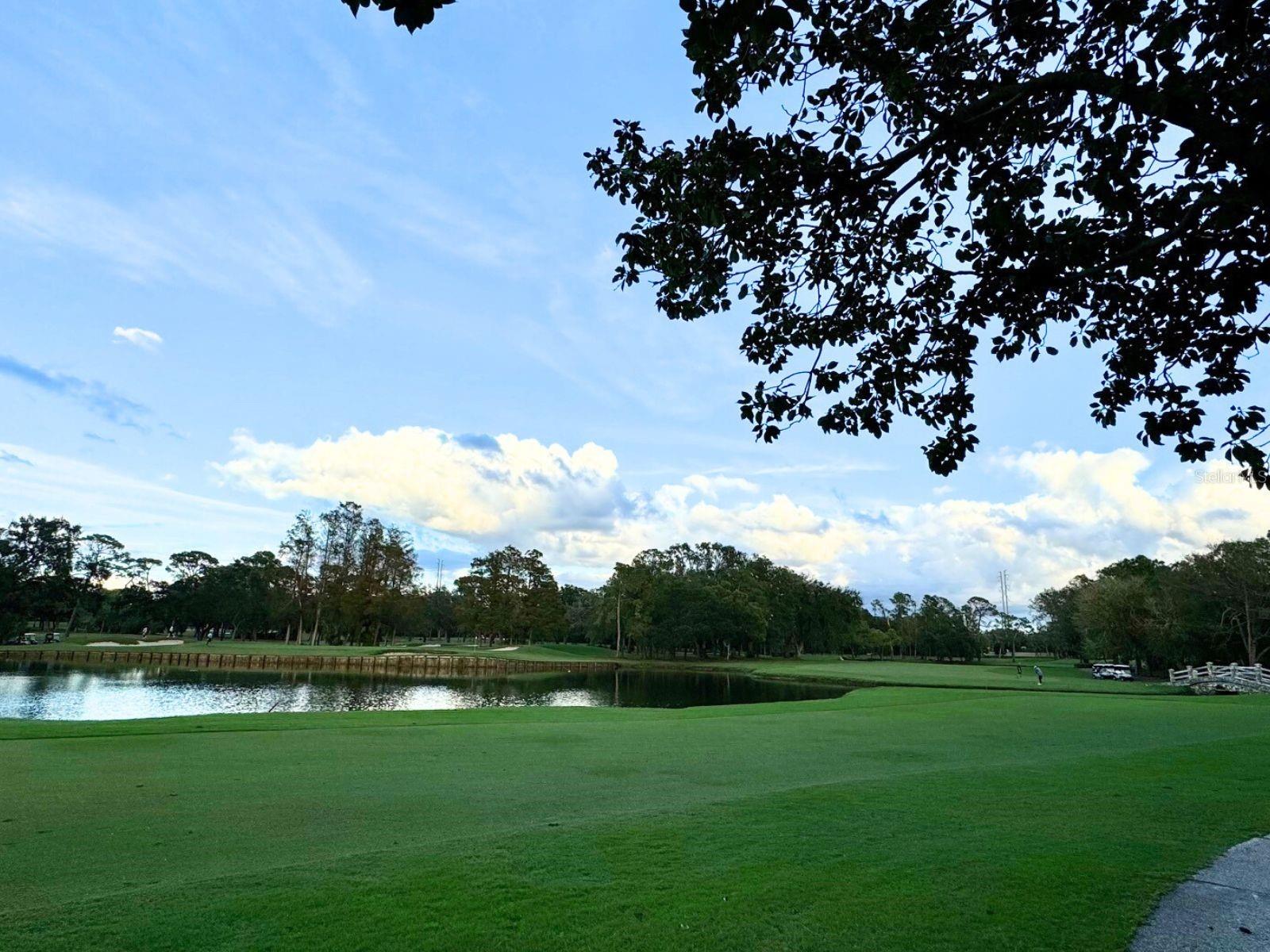 Osprey Clubhouse