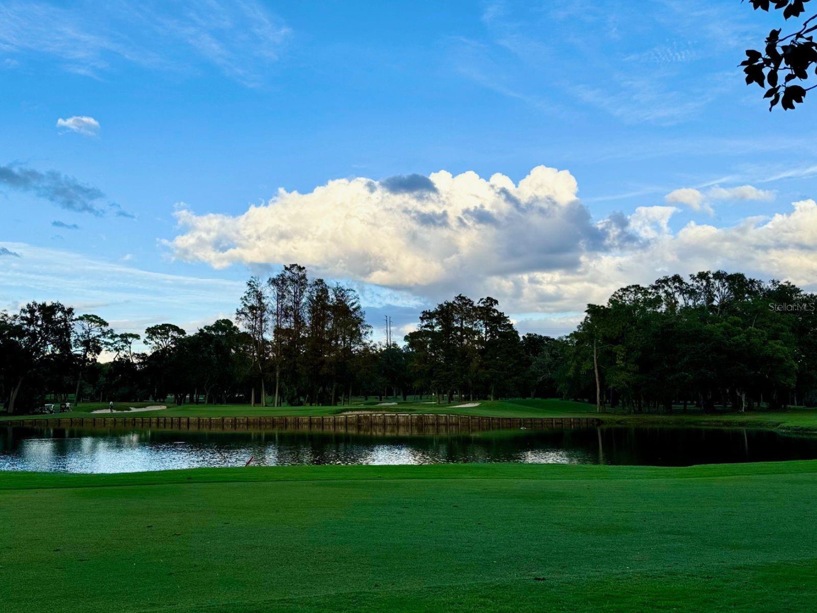 Innisbrook Resort and Golf Club