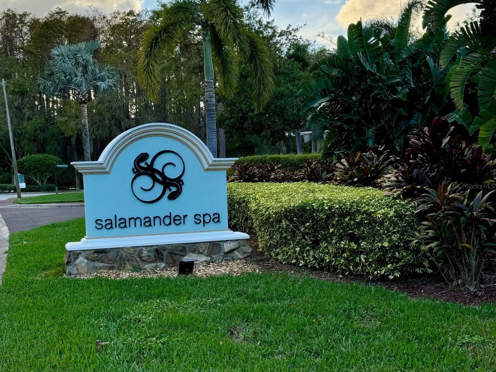 Salamander Day Spa