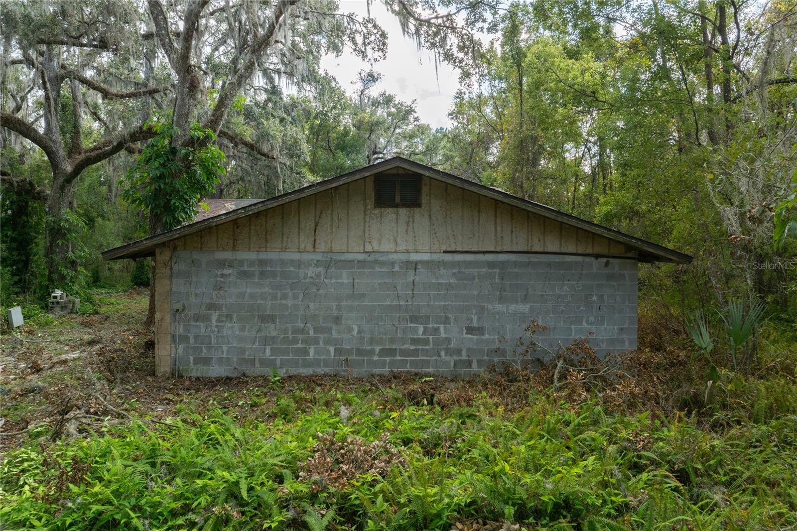 vacant abandoned home on 3 acre lot adjacent to Endsley Rd with road access.