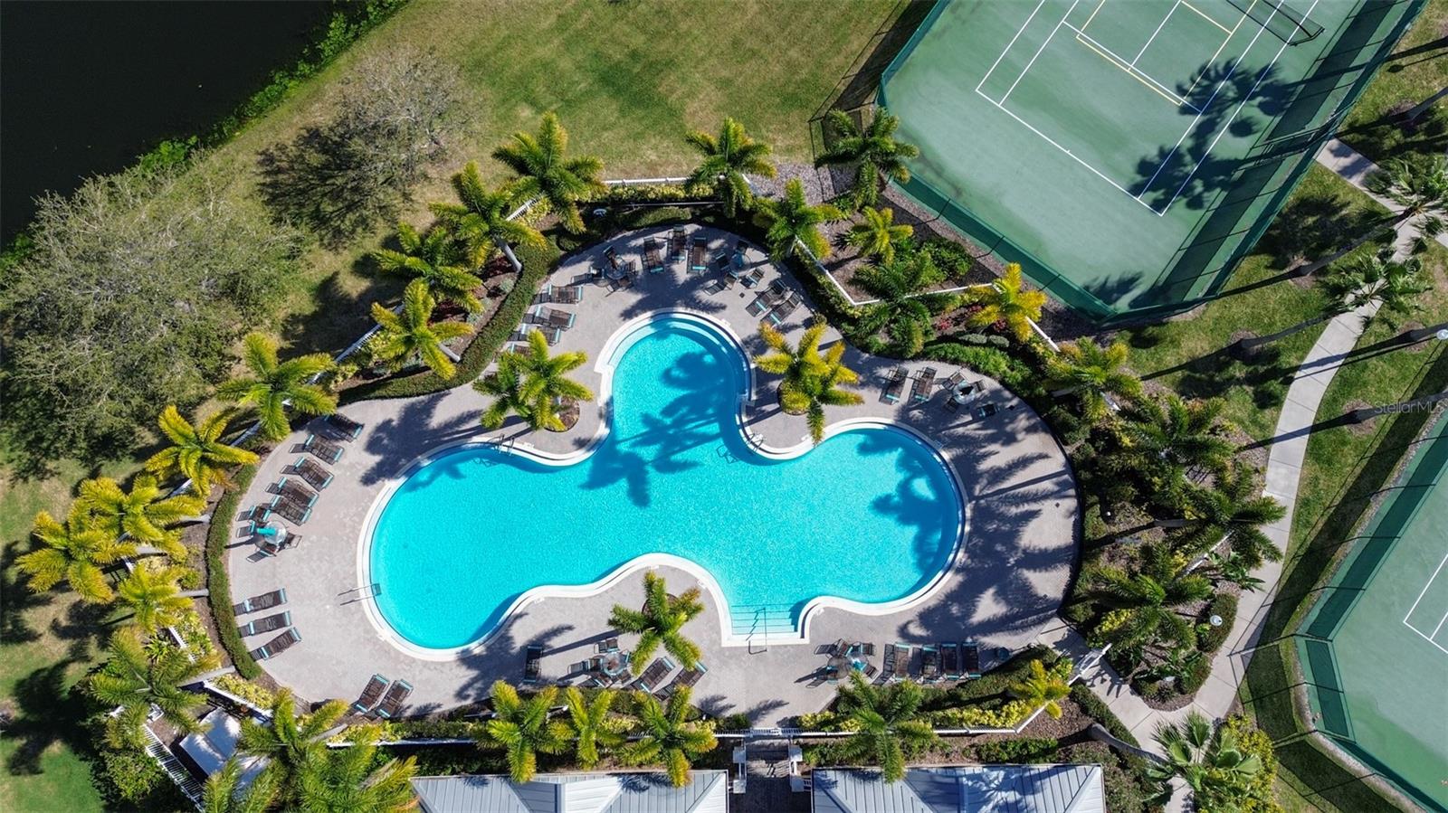 Aerial view of the pool