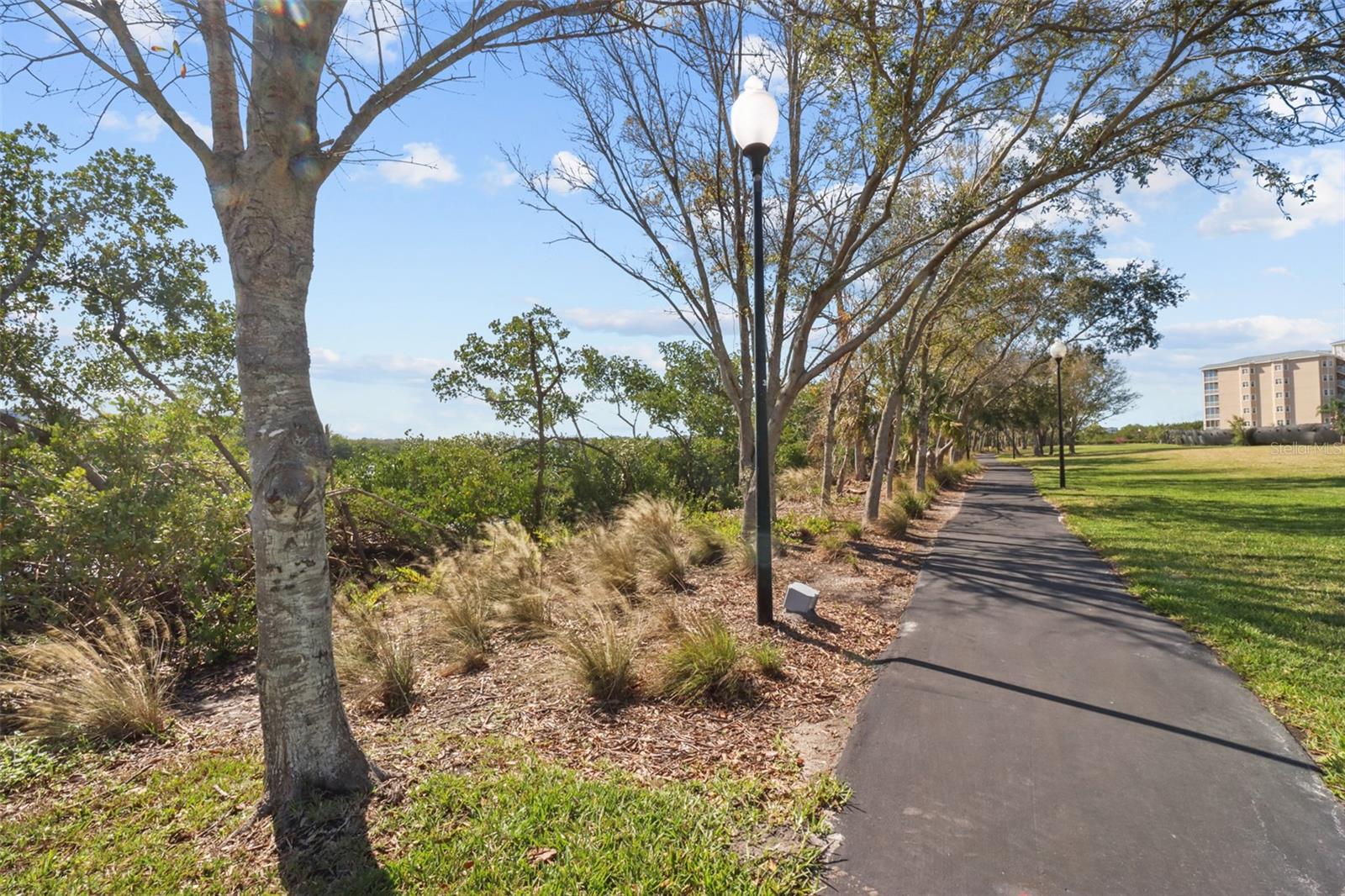 Another view of the walking trail that surrounds all of Seminole Isle