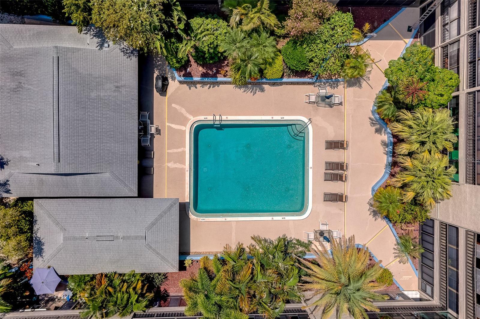 Remarcited Pool and Nice landscaping