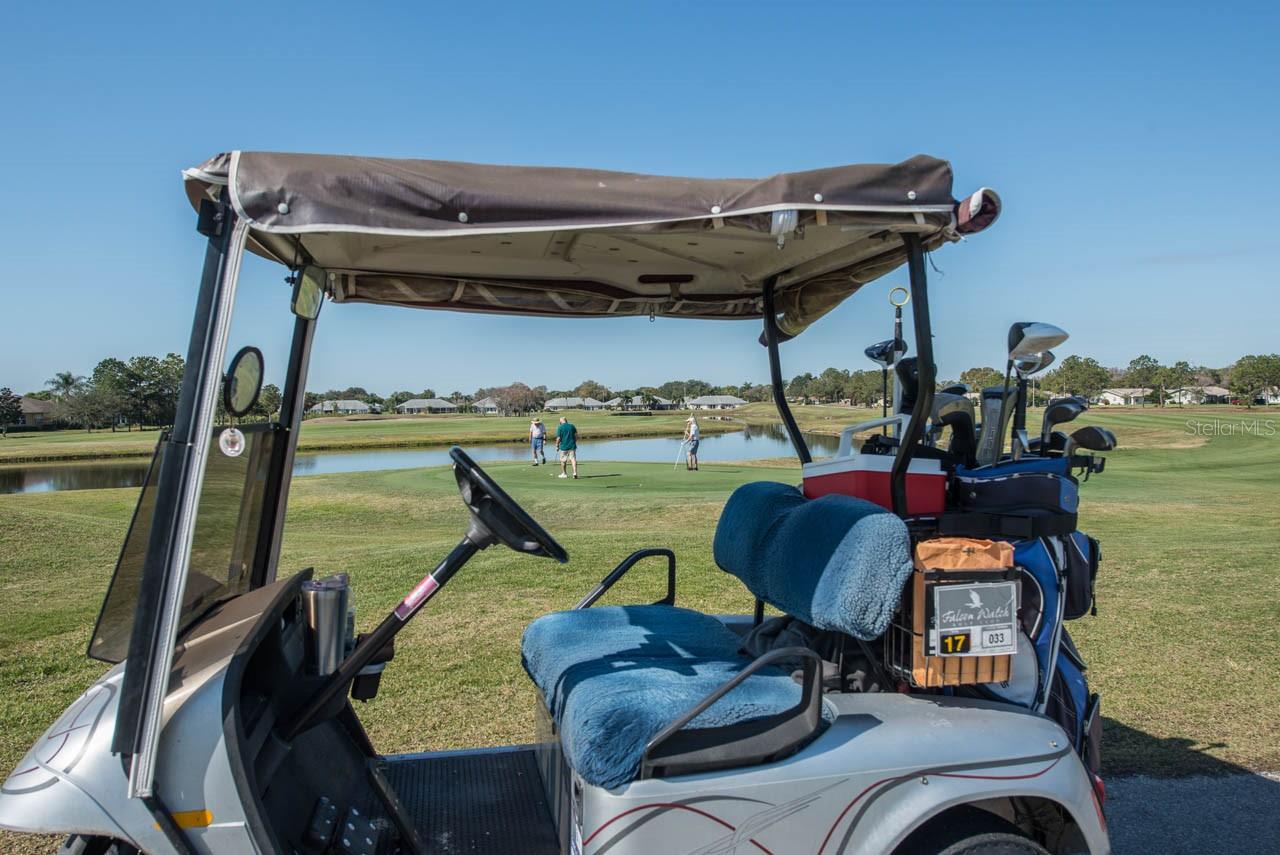 Golf cart community