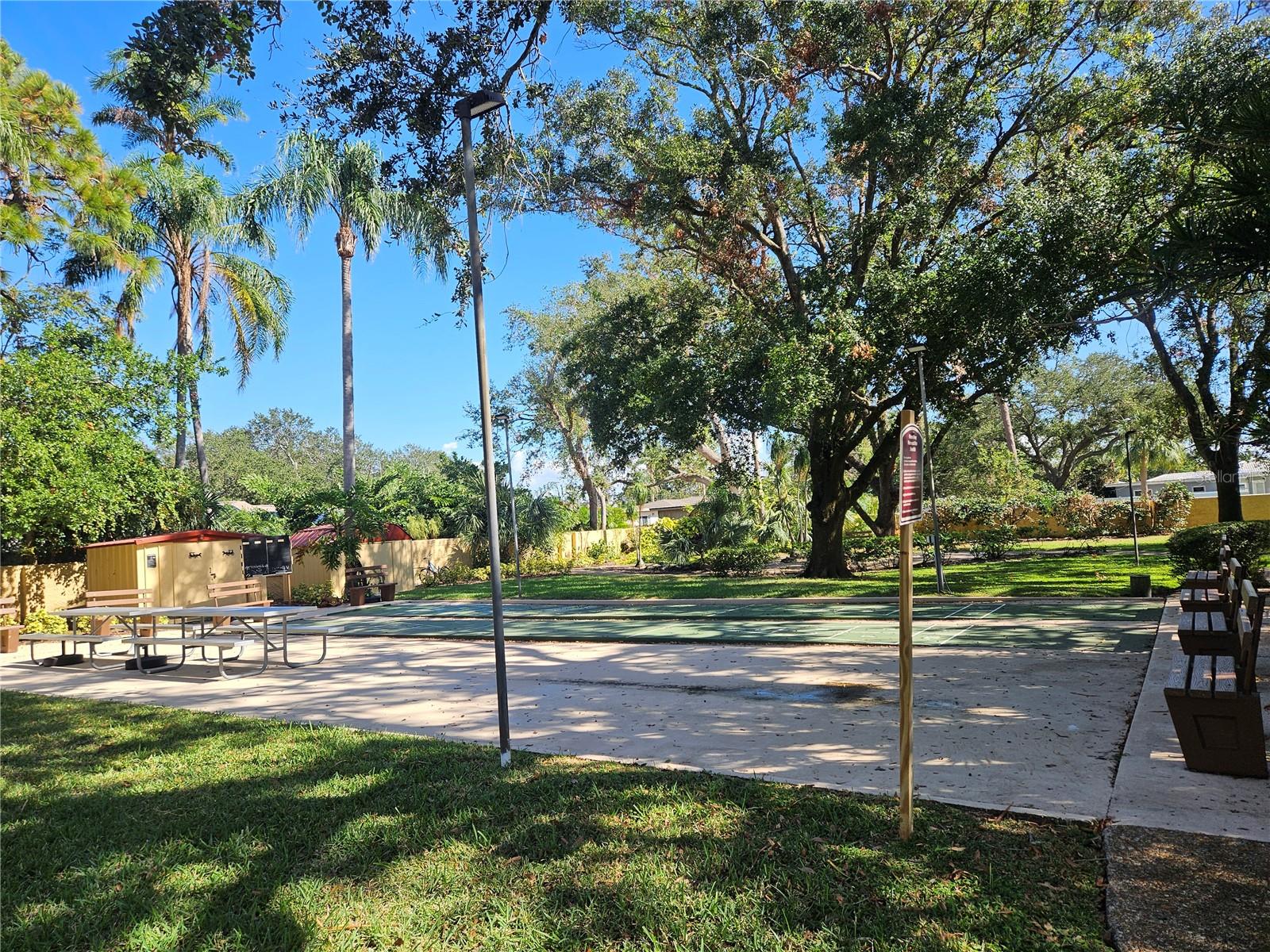 Lighted Shuffleboard Courts.