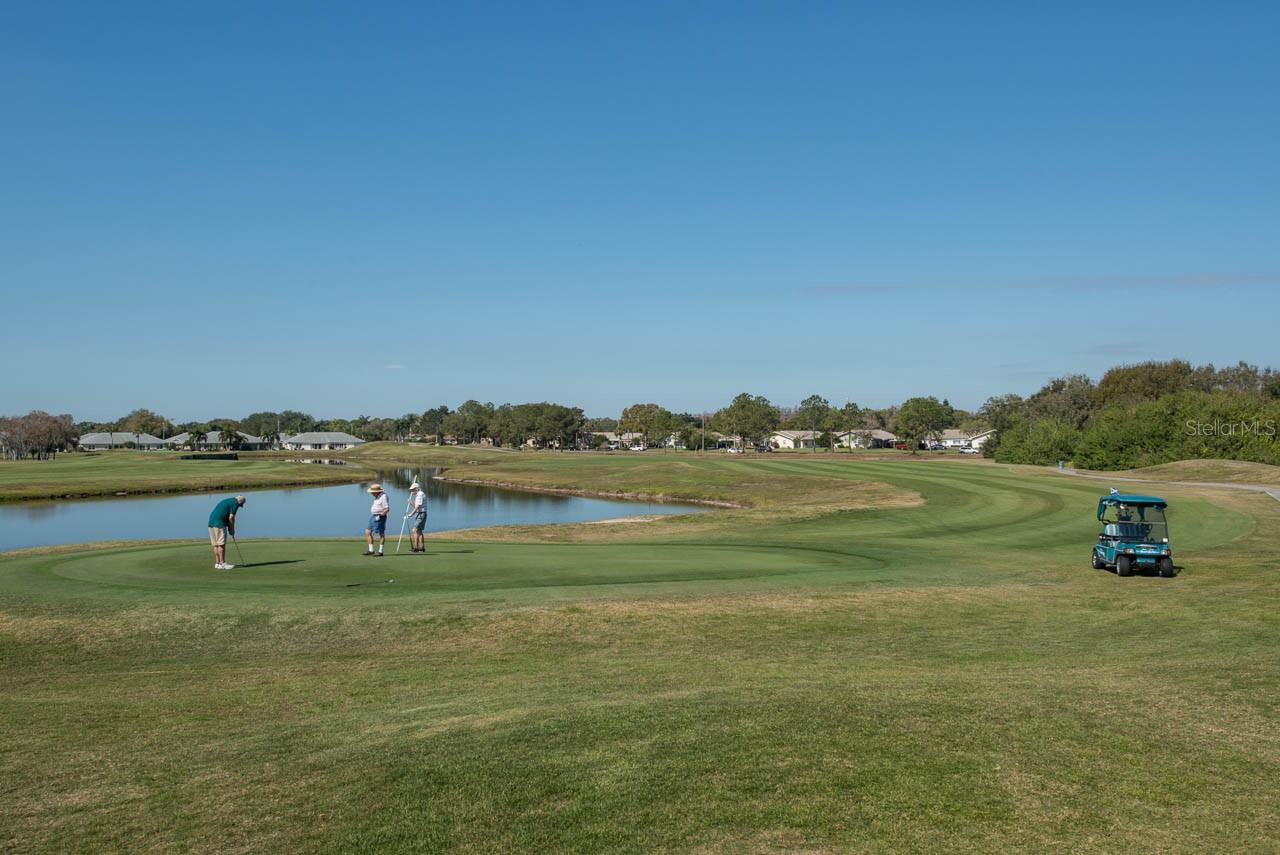 Golfing