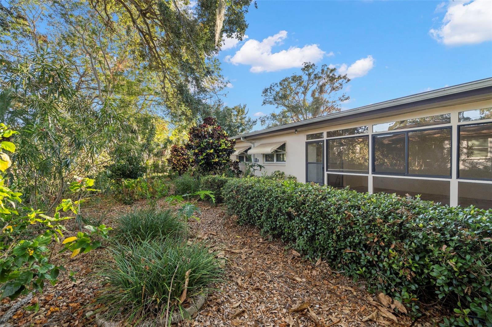 Beautifully landscaped back yard