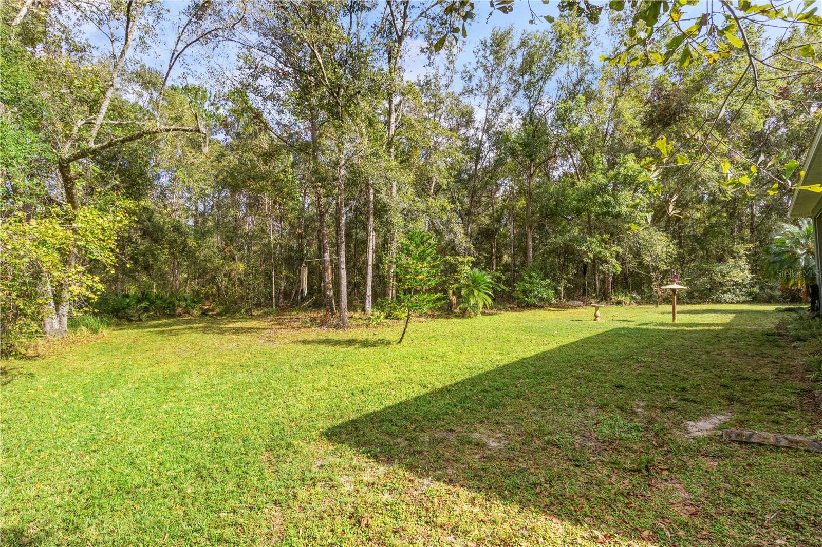 View of back yard