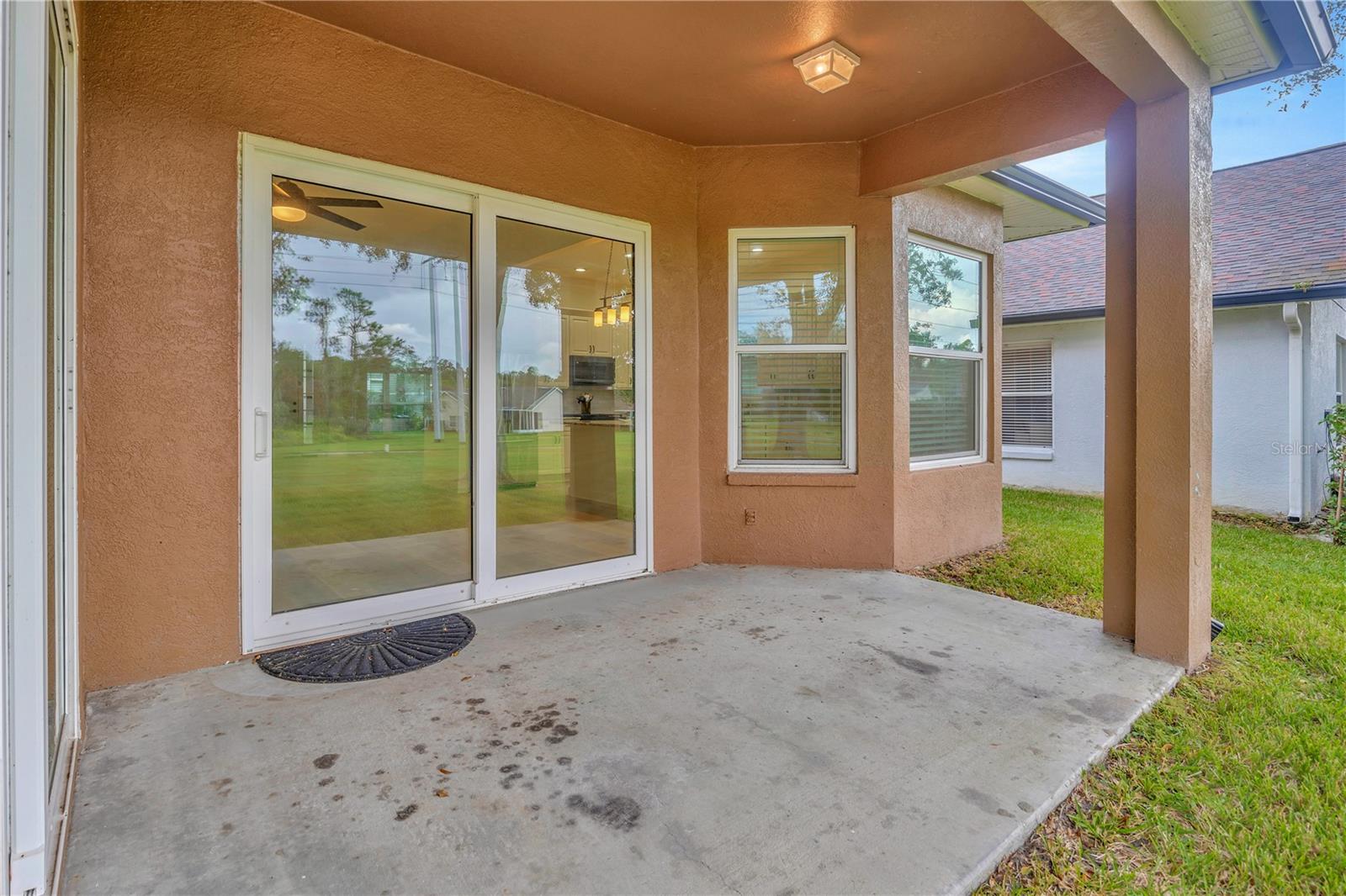 Large & open backyard ~ endless room to run & play!