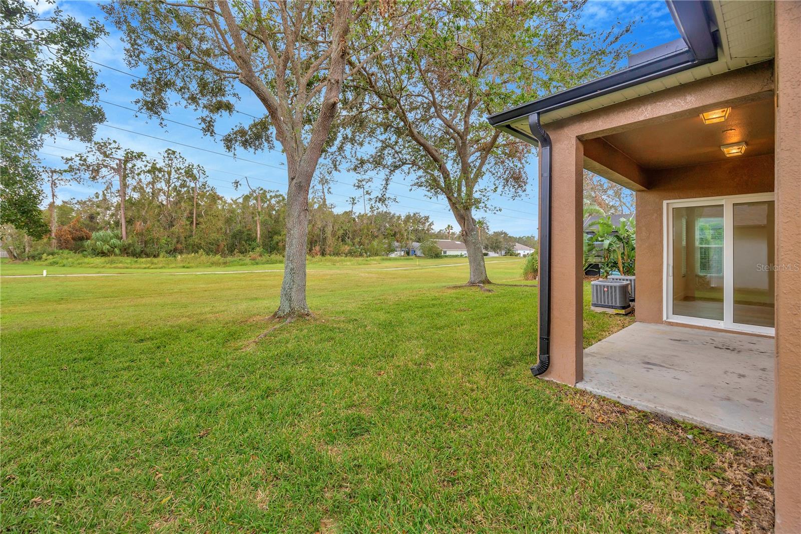 Large & open backyard ~ endless room to run & play!