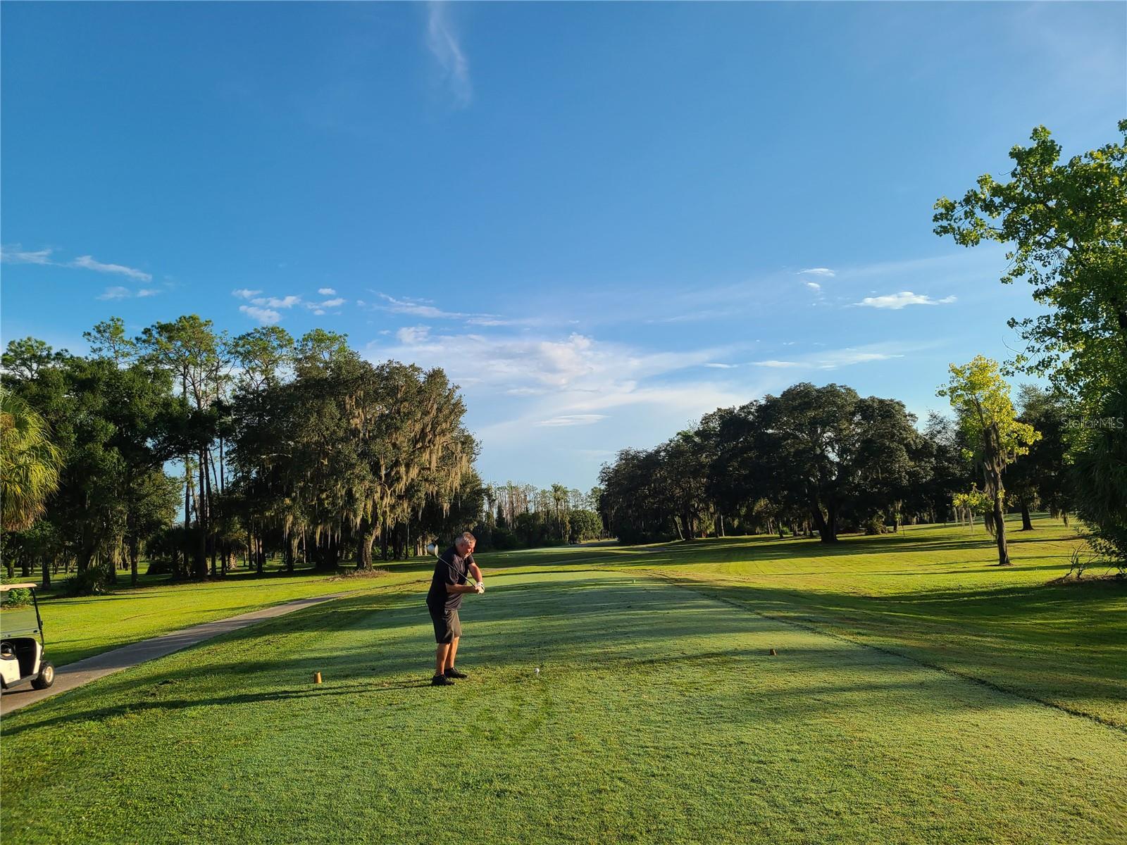 Professional golf courses