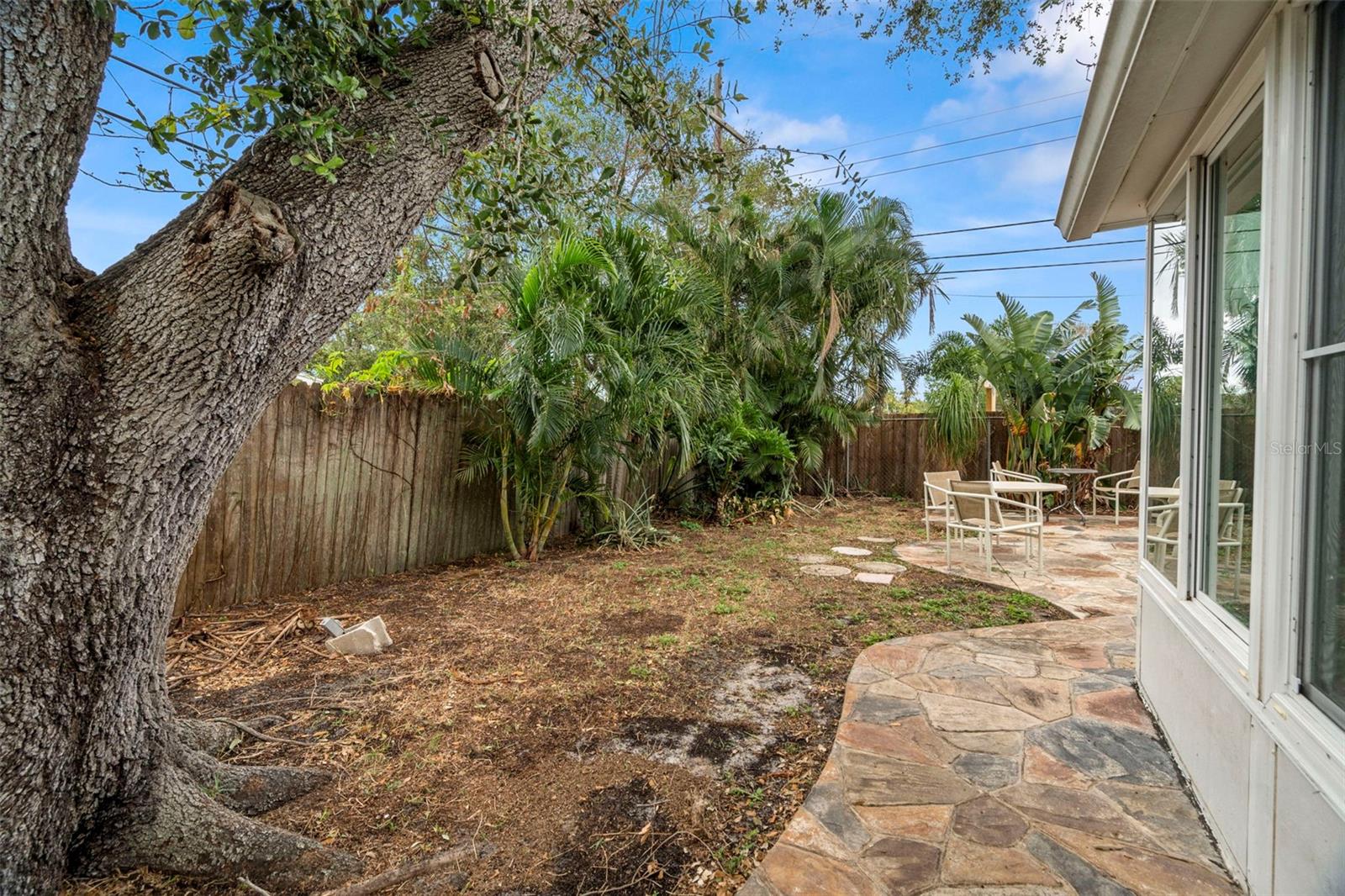 Back Yard with Many Fruit Plants