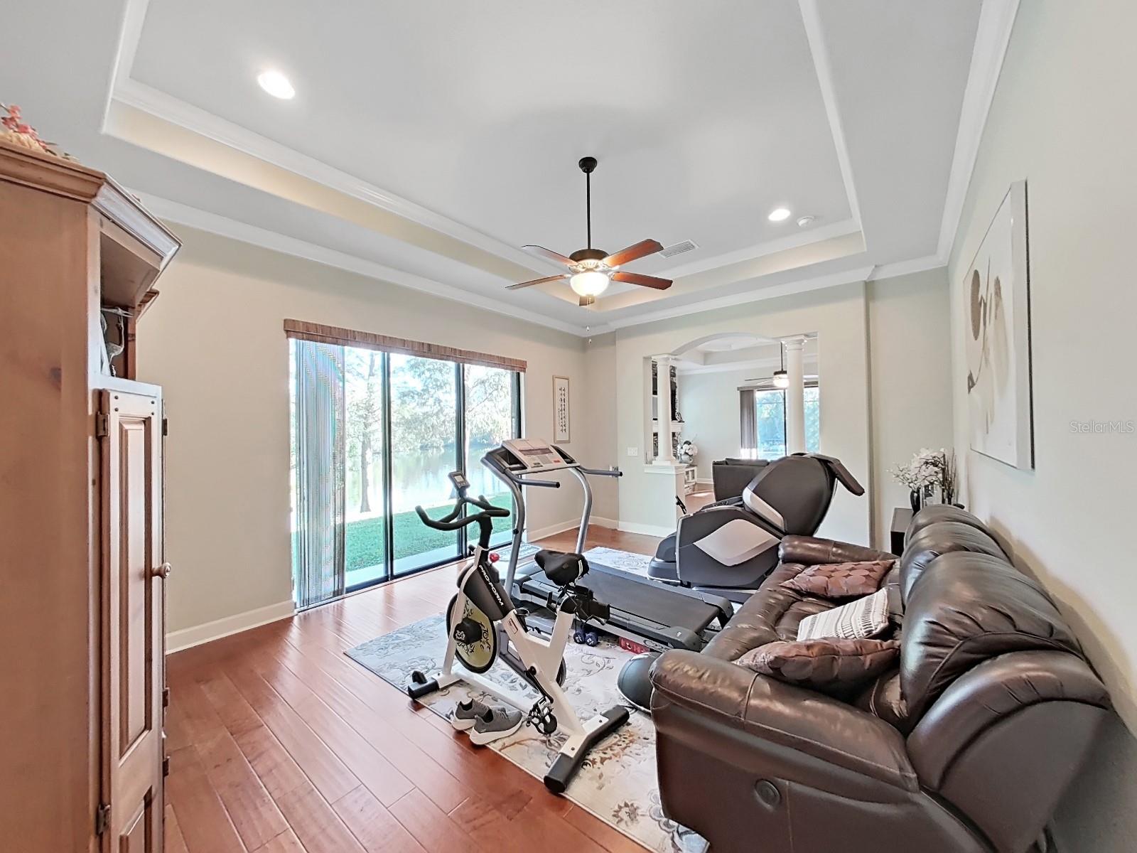 Bonus Room with Tray Ceiling, Sliding Doors to paved Walk Way to Pool.