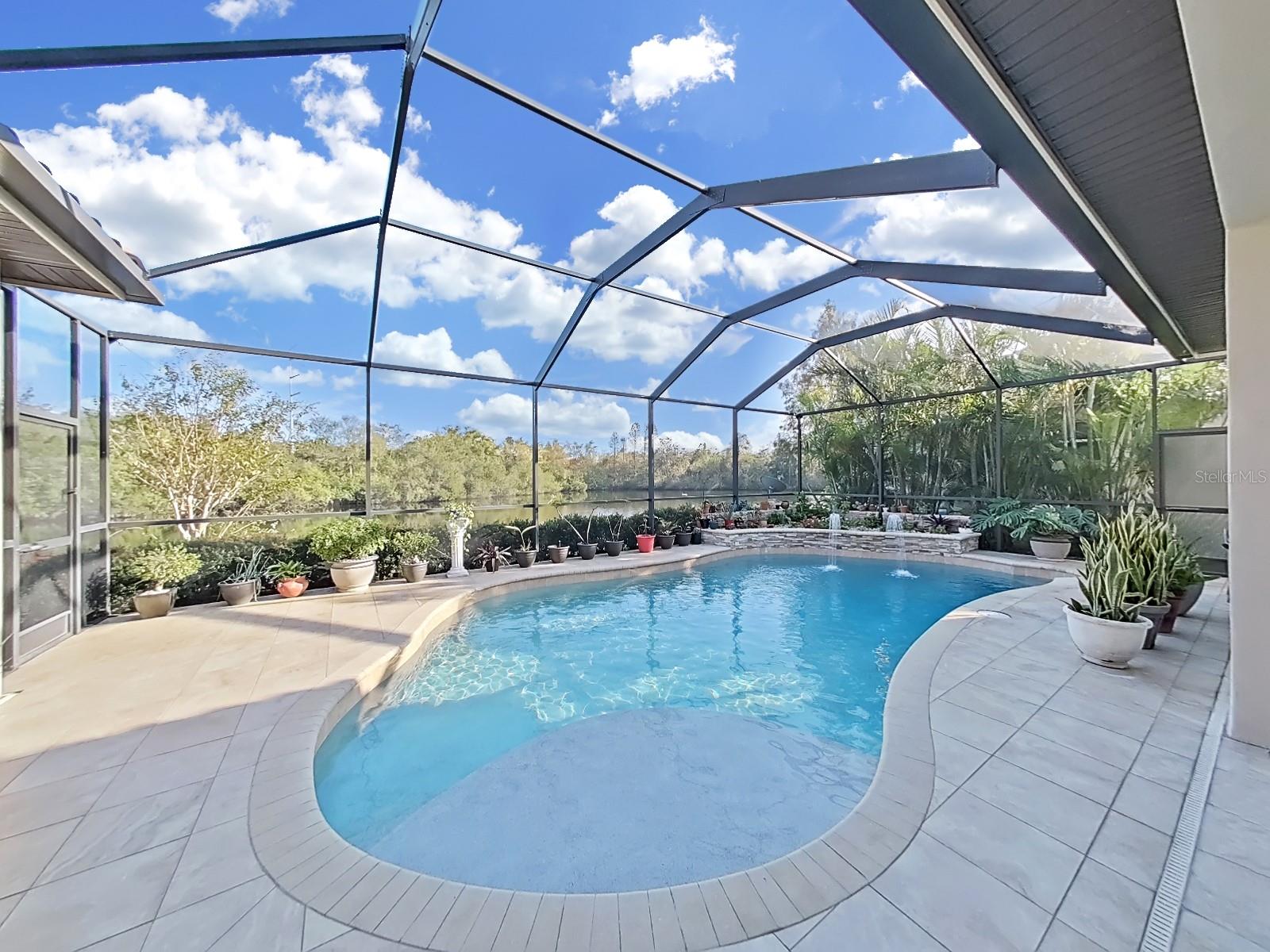 Pool with View of the Lake and Conservation Area.