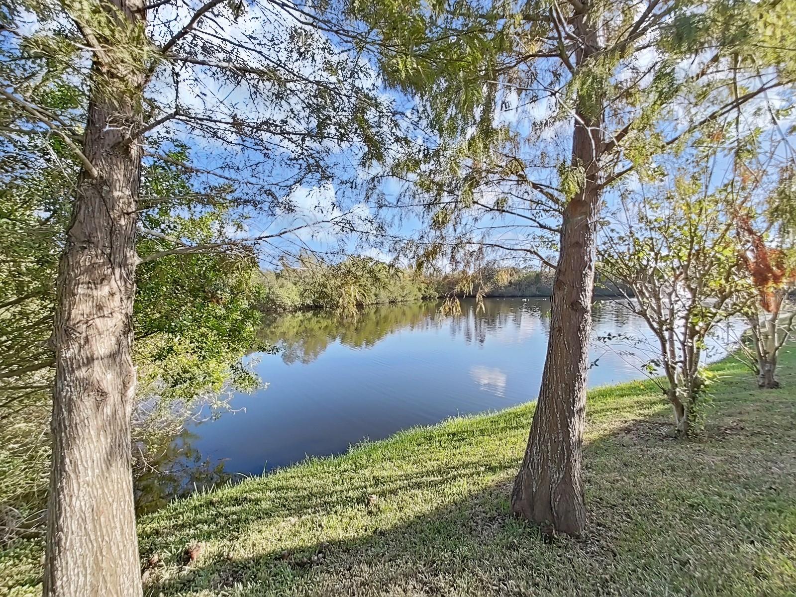 Back Yard with Lake Frontage