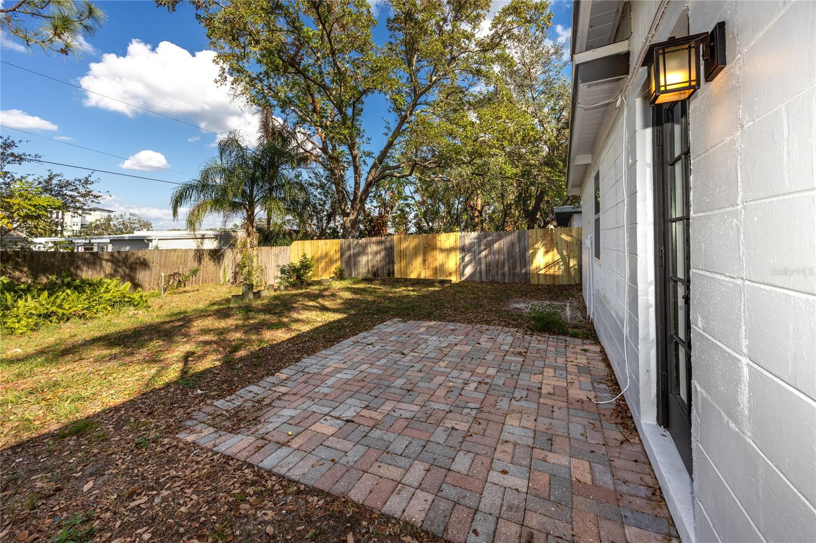 Ferns and a palm create the beginning of a tropical back yard!  Add Areca Palms to finish the tropical feel!