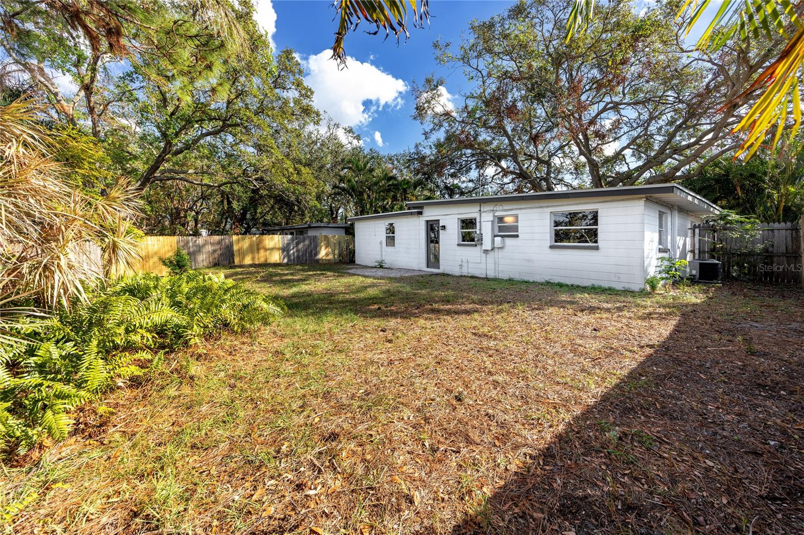 Spacious Back Yard