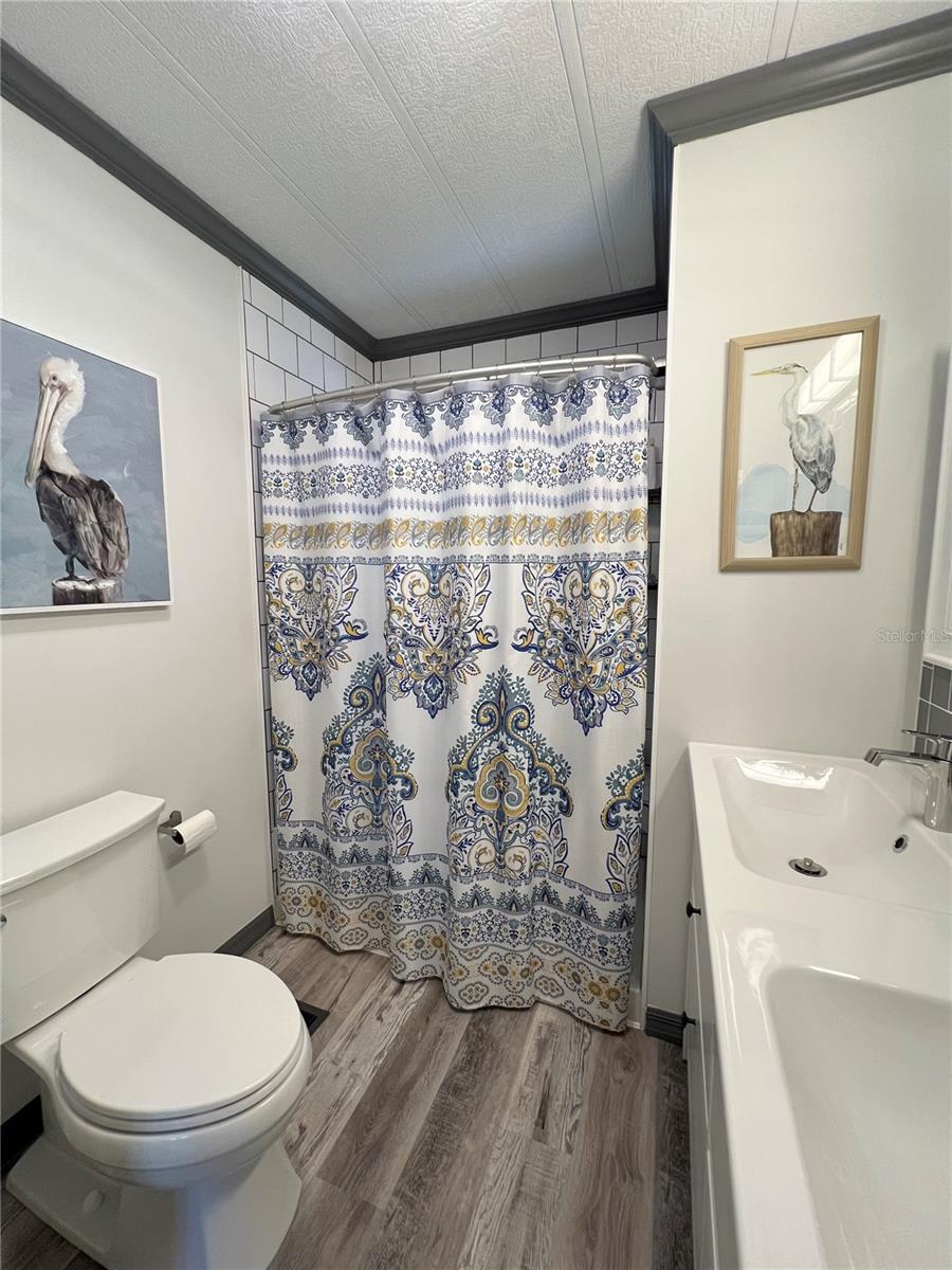 Hallway bathroom