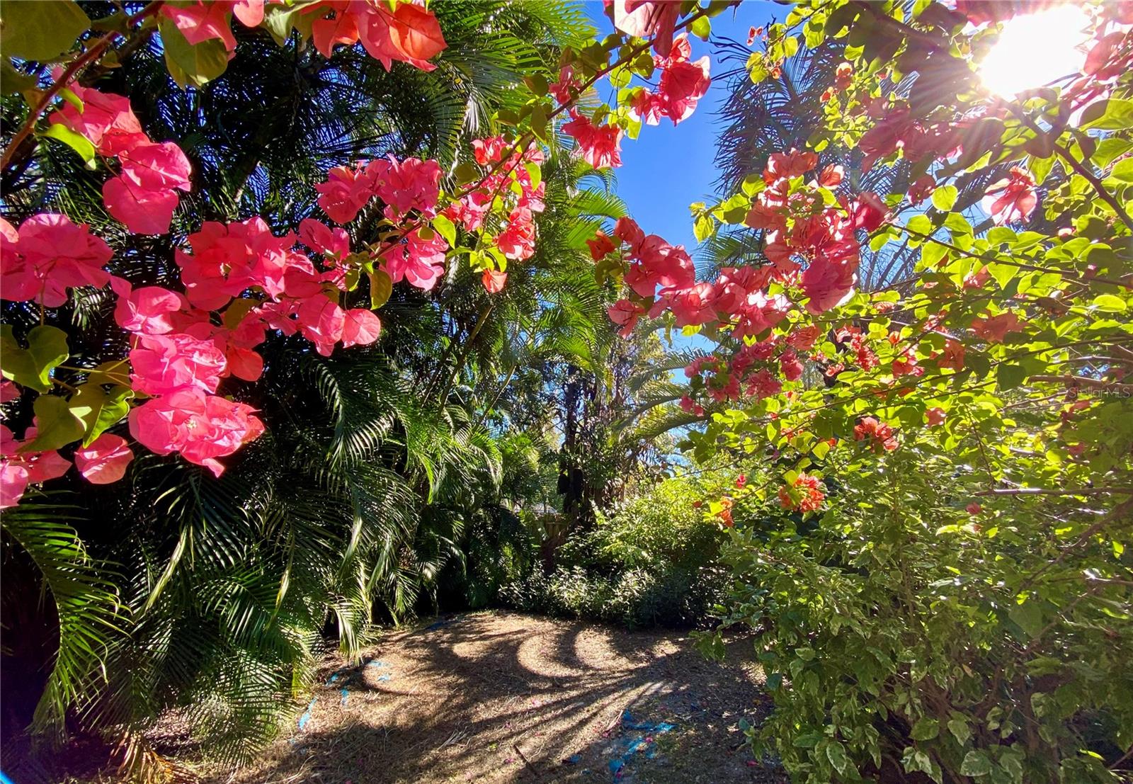 Additional garden behind pool.