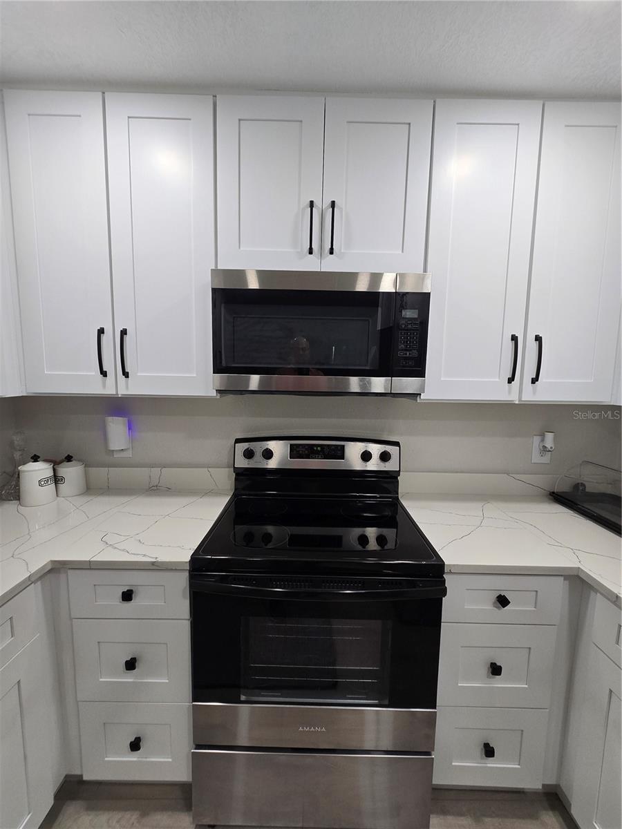 Cooktop and Microwave in the Kitchen.