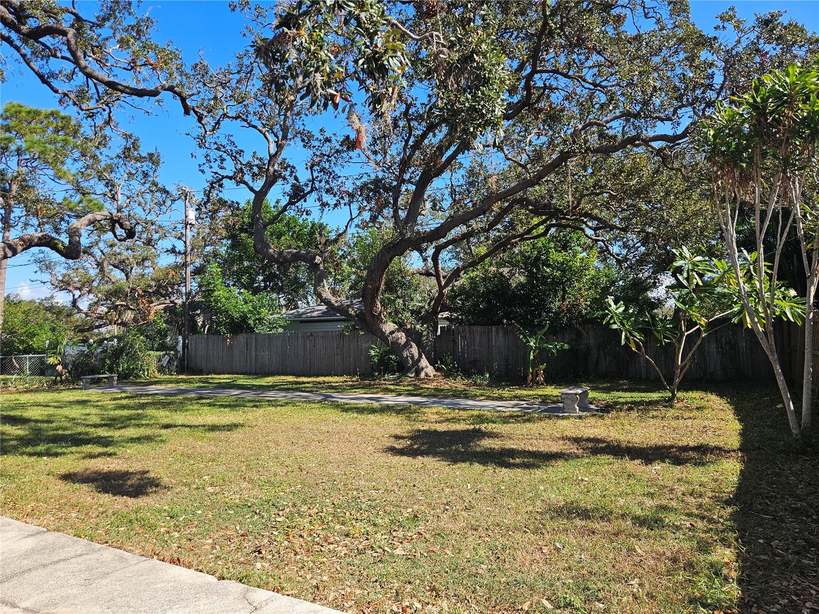 Oversized backyard - so many possibilities!