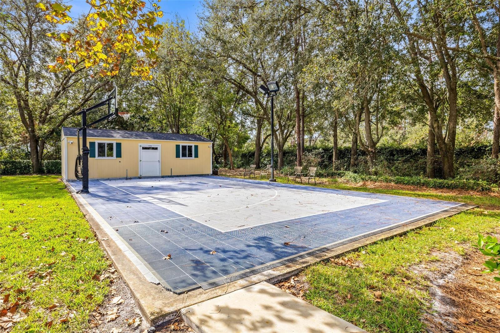 Basketball Court & Shed