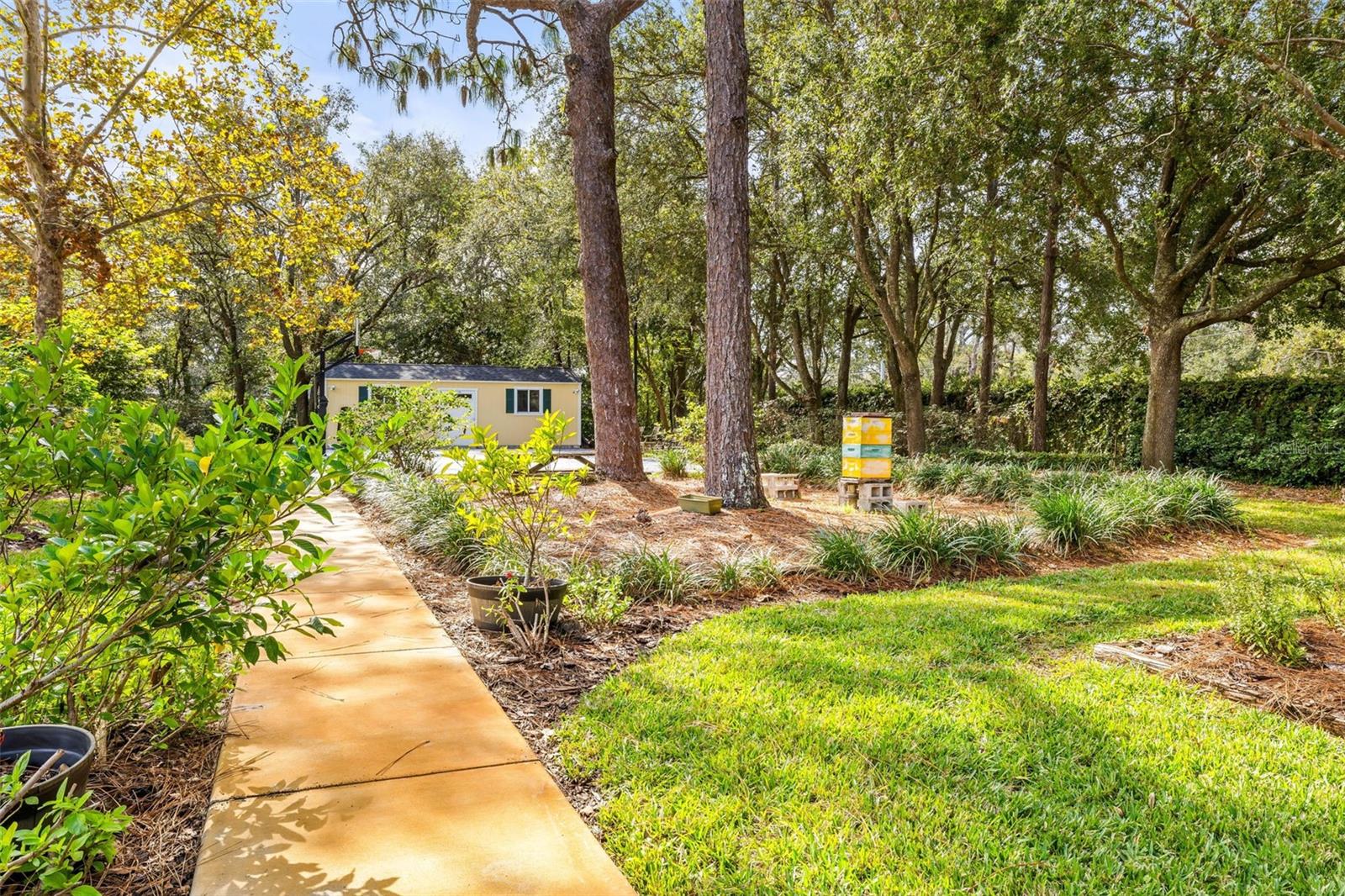 Walkway to Basketball Court & Shed