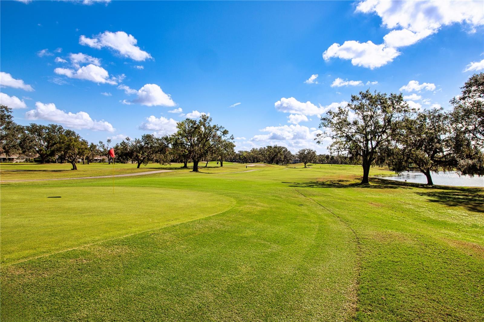 Golf View