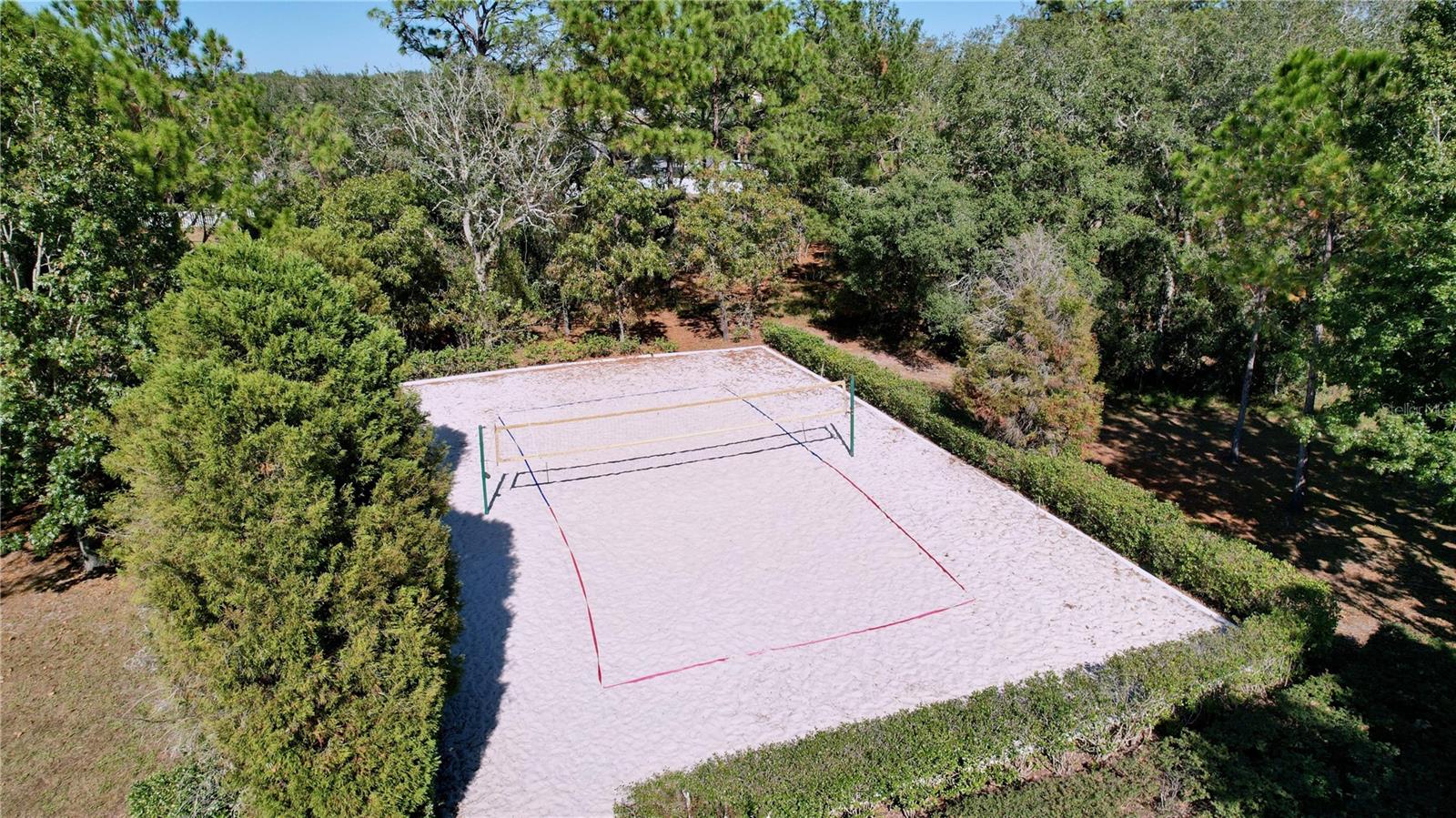 Volleyball Court