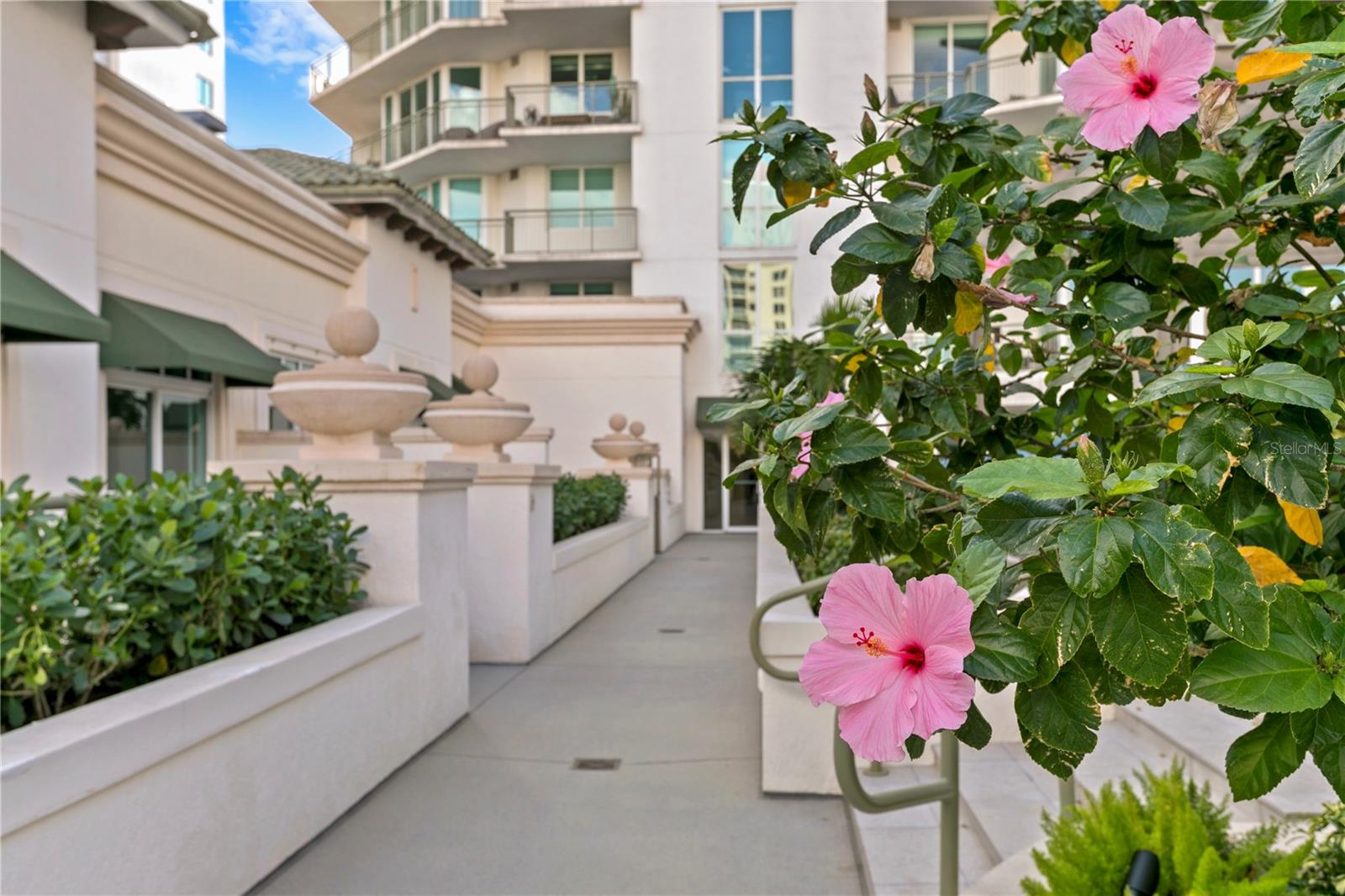 Walkway near Palm Court