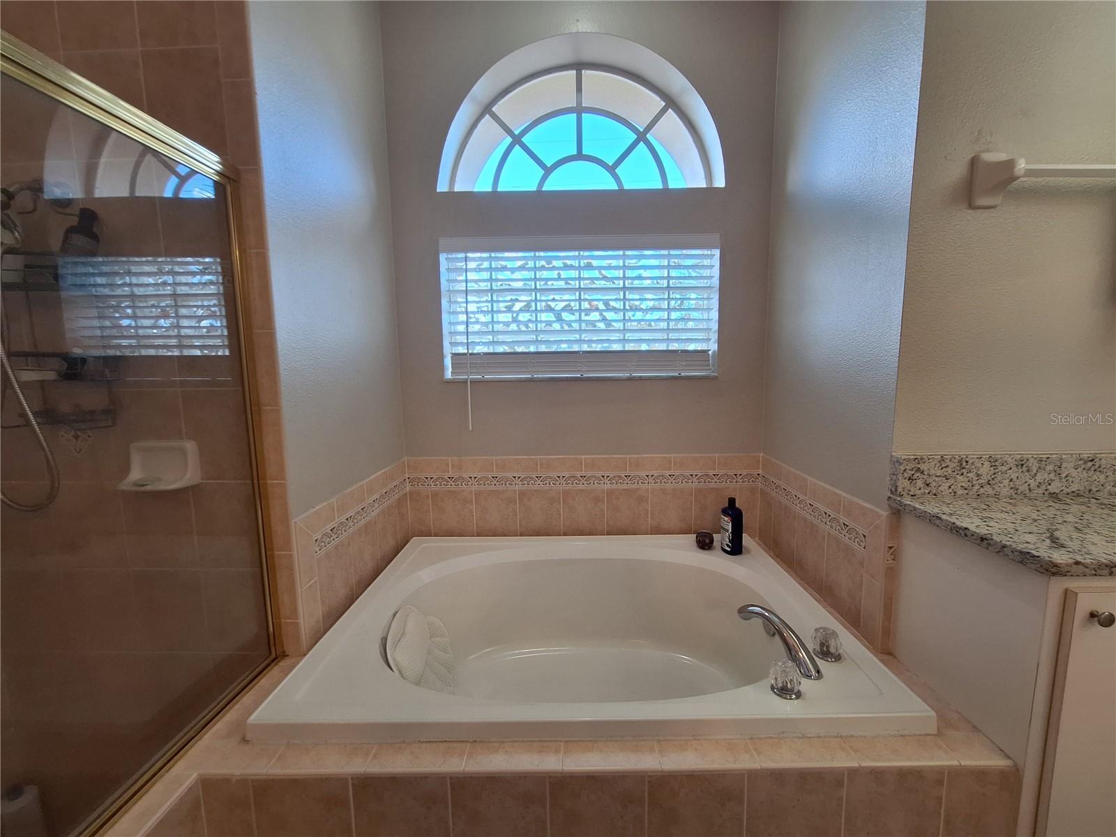 Nice Size Soaking Tub